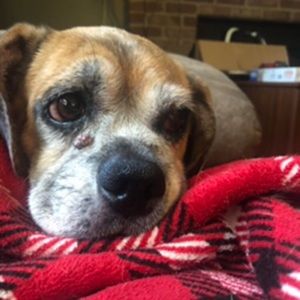 Meet your Posher, Chloe